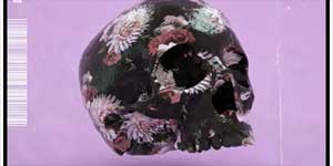 Skeleton